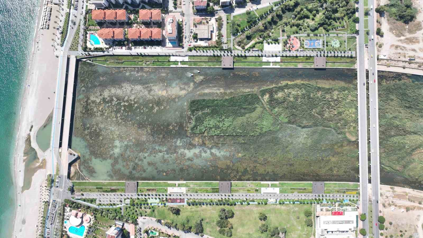 ANTALYA’DA BOĞAÇAYI’NDA KİRLİLİK TARTIŞMALARI SÜRERKEN, BÜYÜKŞEHİR BELEDİYESİ BU YIL 320 TON SUCUL OT İLE YAKLAŞIK 4 TON FİZİKSEL ATIK TOPLANDIĞINI AÇIKLADI.