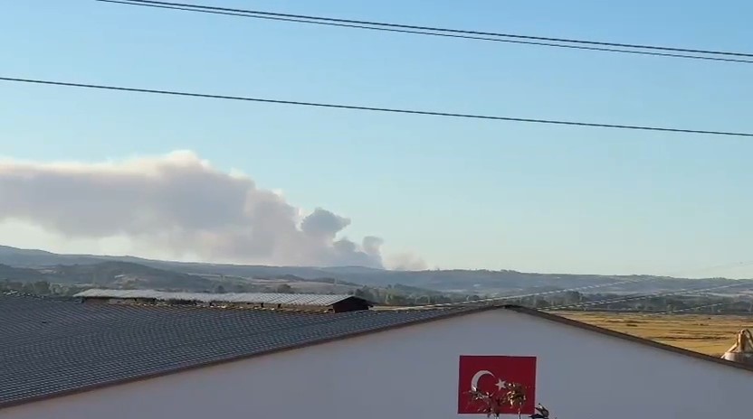 YUNANİSTAN’DA Kİ  YANGIN, MERİÇ’TEN GÖRÜLÜYOR