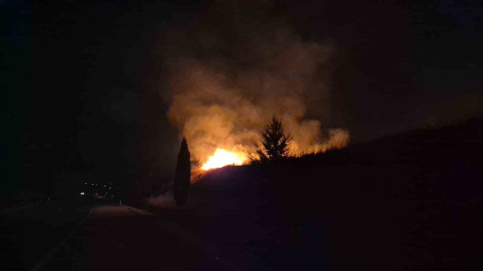 ADIYAMAN’DA MEYDANA GELEN ANIZ YANGININDA BİR ÇOK AĞAÇ ZARAR GÖRÜRKEN YANGIN KORKUTTU.