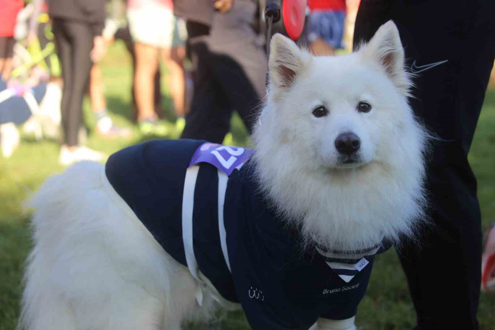 BURSA'DA BU YIL 13'ÜNCÜSÜ DÜZENLENEN EKER I RUN KAPSAMINDA İLK KEZ GERÇEKLEŞTİRİLEN "KÖPEĞİNLE KOŞ" ETKİNLİĞİ, YÜZLERCE HAYVANSEVER İLE PATİLİ DOSTLARINI AYNI PARKURDA BULUŞTURDU.