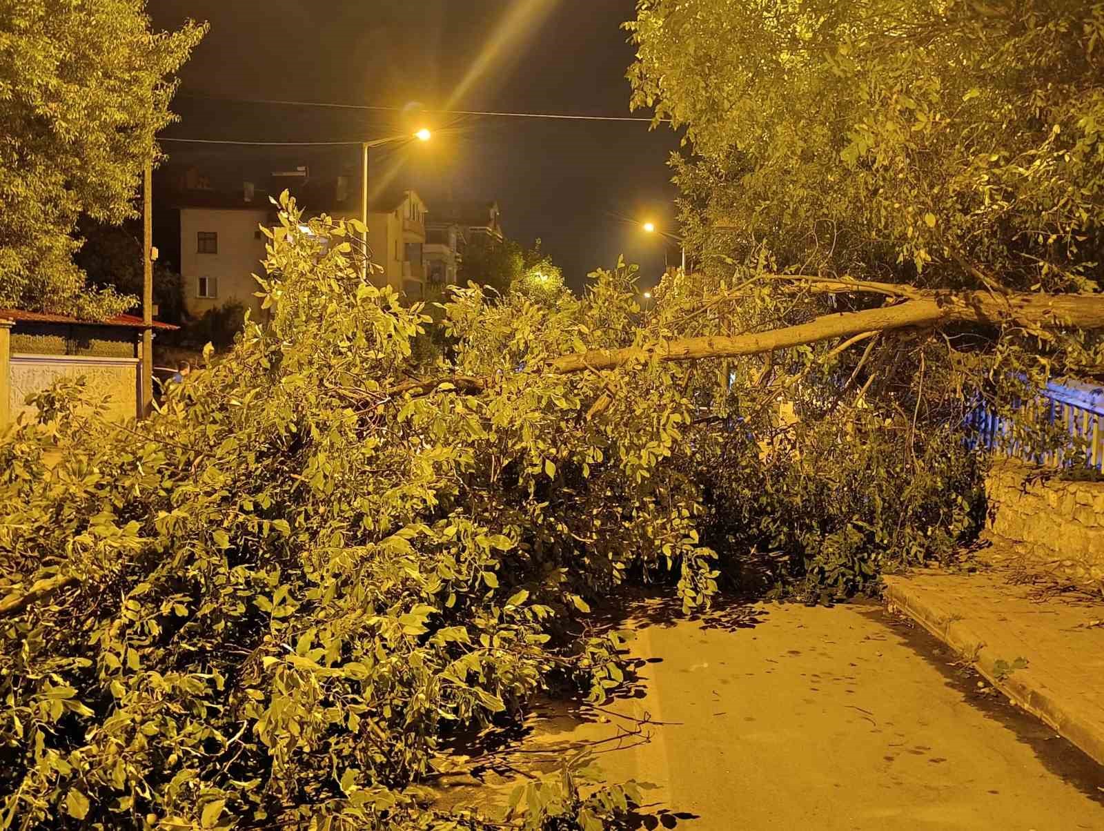 KONYA’NIN BEYŞEHİR İLÇESİNDE GECE SAATLERİNDE YOLA CEVİZ AĞACININ DALLARI DEVRİLDİ. OLAYDA ŞANS ESERİ YARALANAN OLMAZKEN, CADDE BİR SÜRE ULAŞIMA KAPANDI.