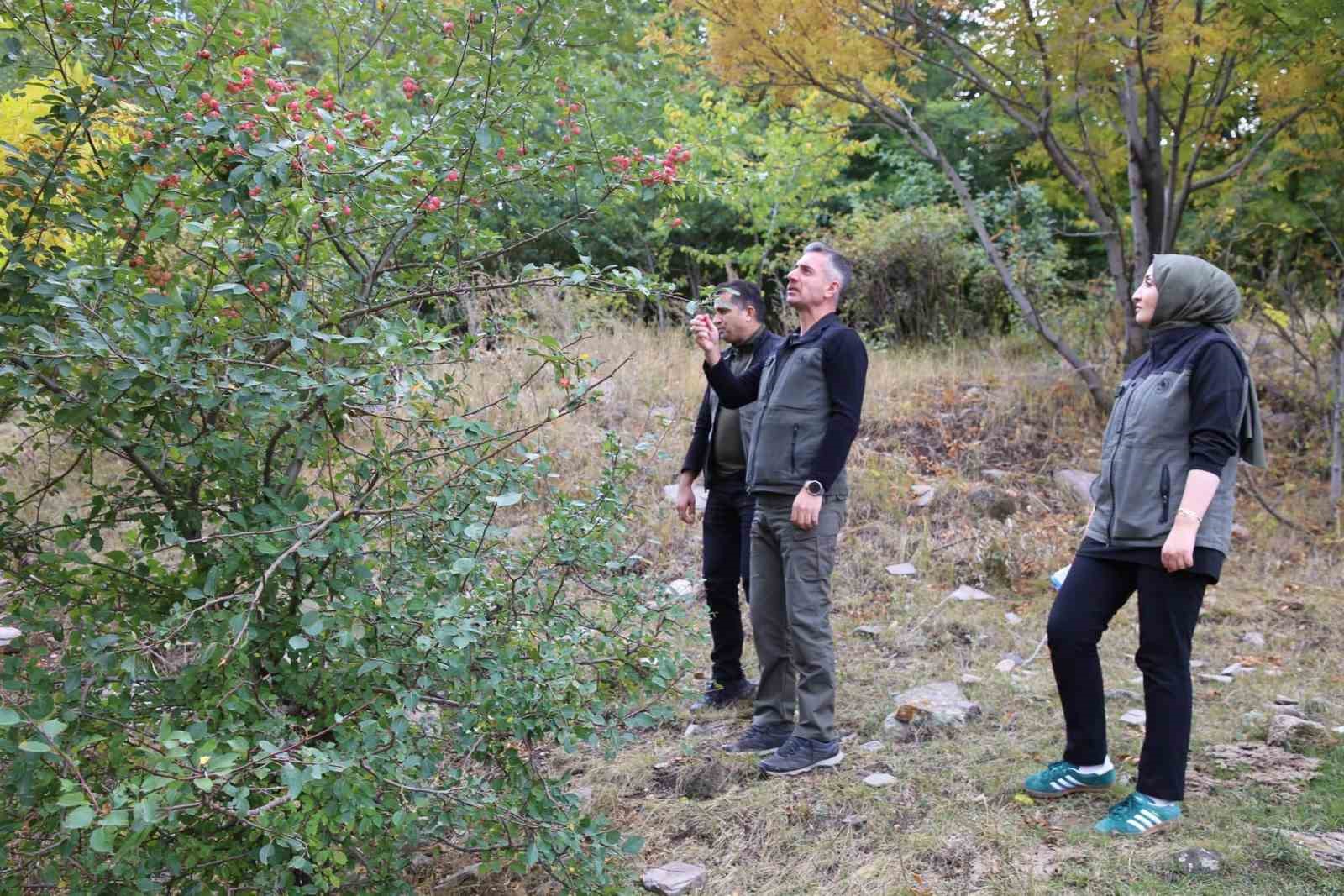 KARS’A YENİ YEŞİL YAŞAM ALANI GELİYOR: KENT ORMANI İÇİN DÜĞMEYE BASILDI(KARS-İHA)