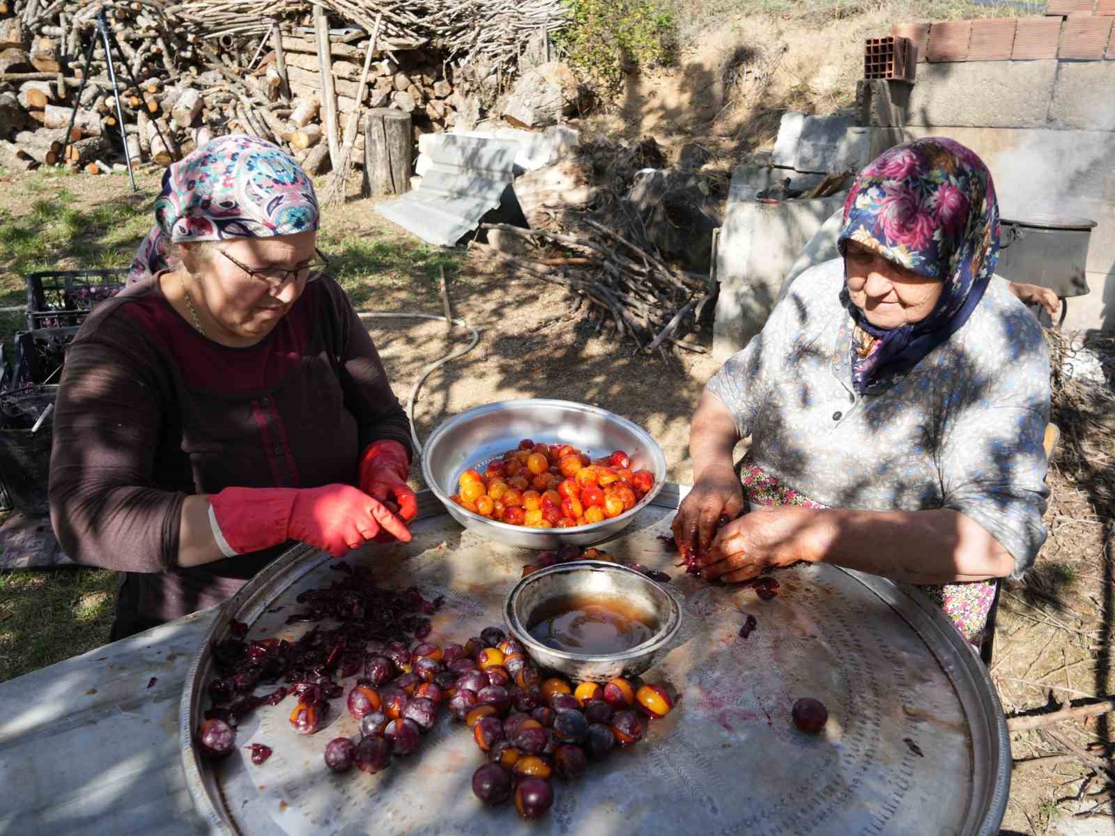 SADECE KASTAMONU'DA YETİŞEN OSMANLI MUTFAĞININ DA VAZGEÇİLMEZ MEYVELERİNDEN COĞRAFİ İŞARET BELGELİ ENDEMİK BİTKİ TÜRÜ OLARAK KABUL EDİLEN ÜRYANİ (ALA) ERİĞİNİN HASADINA BAŞLANDI.