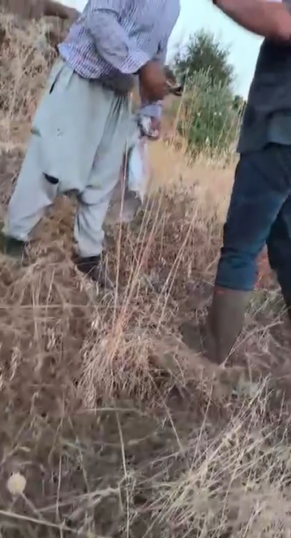 HATAY'DA KENDİNE AİT ARAZİDEKİ SUMAKLARIN BAŞKASI TARAFINDAN TOPLANDIĞINI FARK EDEN VATANDAŞ, İZİNSİZ SUMAĞINI TOPLAYAN ŞAHSI KAMERAYLA KAYIT ALTINA ALDI.