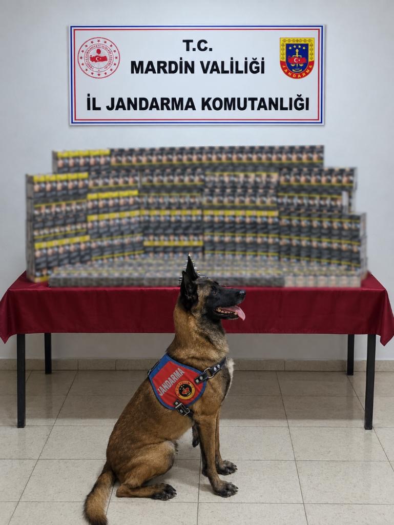 MARDİN'DE DÜZENLENEN KAÇAK TÜTÜN VE SİGARA OPERASYONUNDA PİYASA DEĞERİ 5 MİLYON LİRA OLAN KAÇAK ÜRÜN ELE GEÇİRİLDİ