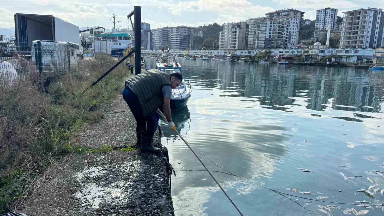 RİZE’NİN PAZAR İLÇESİNDE AŞIRI AVLANMA SONRASI DENİZE DÖKÜLEN EZİLMİŞ PALAMUTLARIN YOL AÇTIĞI KİRLİLİK VE AĞIR KOKU, PAZAR BELEDİYESİ İLE KİRAZLIK BALIKÇI BARINAKLARI KOOPERATİFİ EKİPLERİNİN ORTAK TEMİZLİK ÇALIŞMASIYLA GİDERİLDİ.