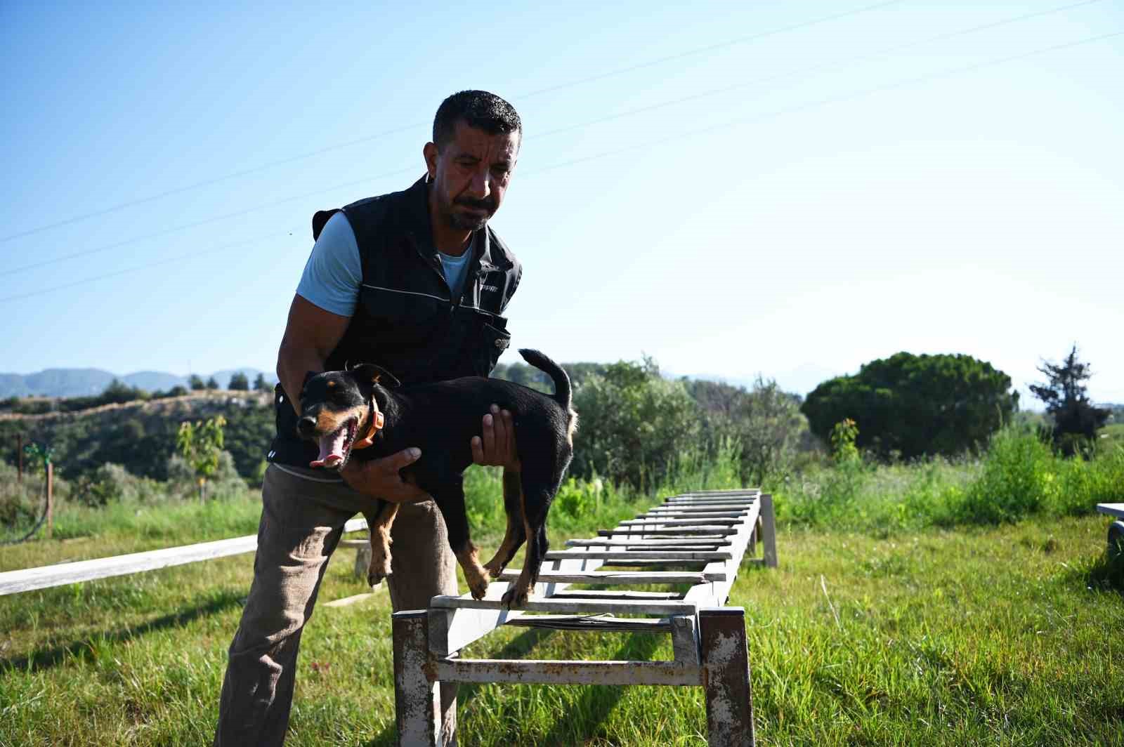 GÜL, "BUGÜNE KADAR ARAMA KÖPEĞİNİN YAPABİLECEĞİ İŞİ YAPACAK HİÇBİR TEKNİK EKİPMAN GELİŞTİRİLEMEDİ" DEDİ.