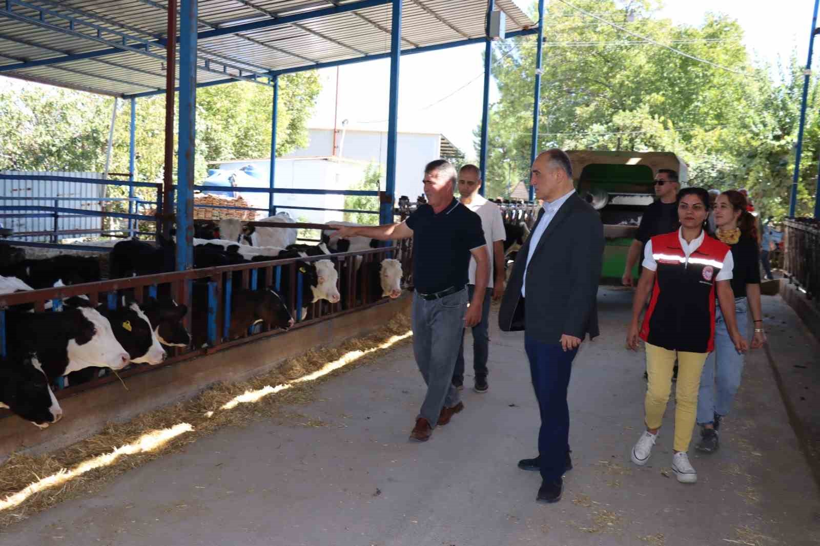 MUĞLA’NIN YATAĞAN İLÇESİNDE TARIMSAL ÜRETİME DİKKAT ÇEKMEK VE ÜRETİCİLERİN EMEĞİNİ TAÇLANDIRMAK AMACIYLA HASAT ŞENLİĞİ GERÇEKLEŞTİRİLDİ. YENİ MAHALLE VE YENİKÖY MAHALLELERİNDE DÜZENLENEN ETKİNLİKTE, ÜRETİCİLER VE İLÇE PROTOKOLÜ BİR ARAYA GELDİ.