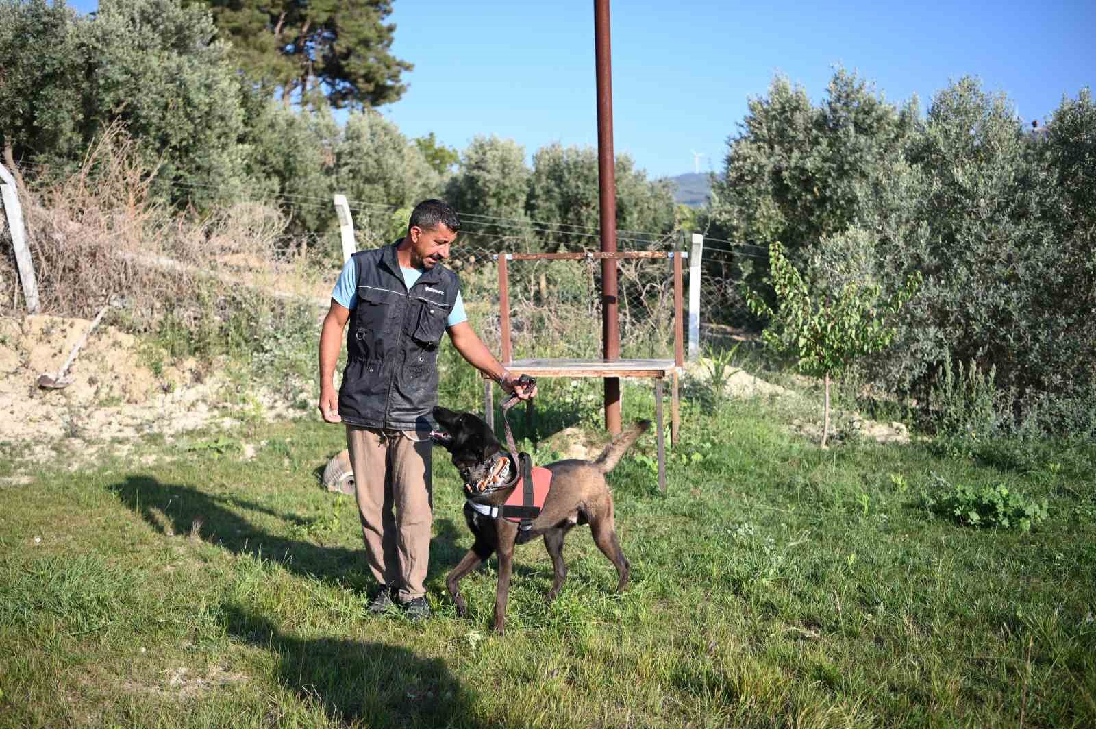 TEVFİK GÜL (45)