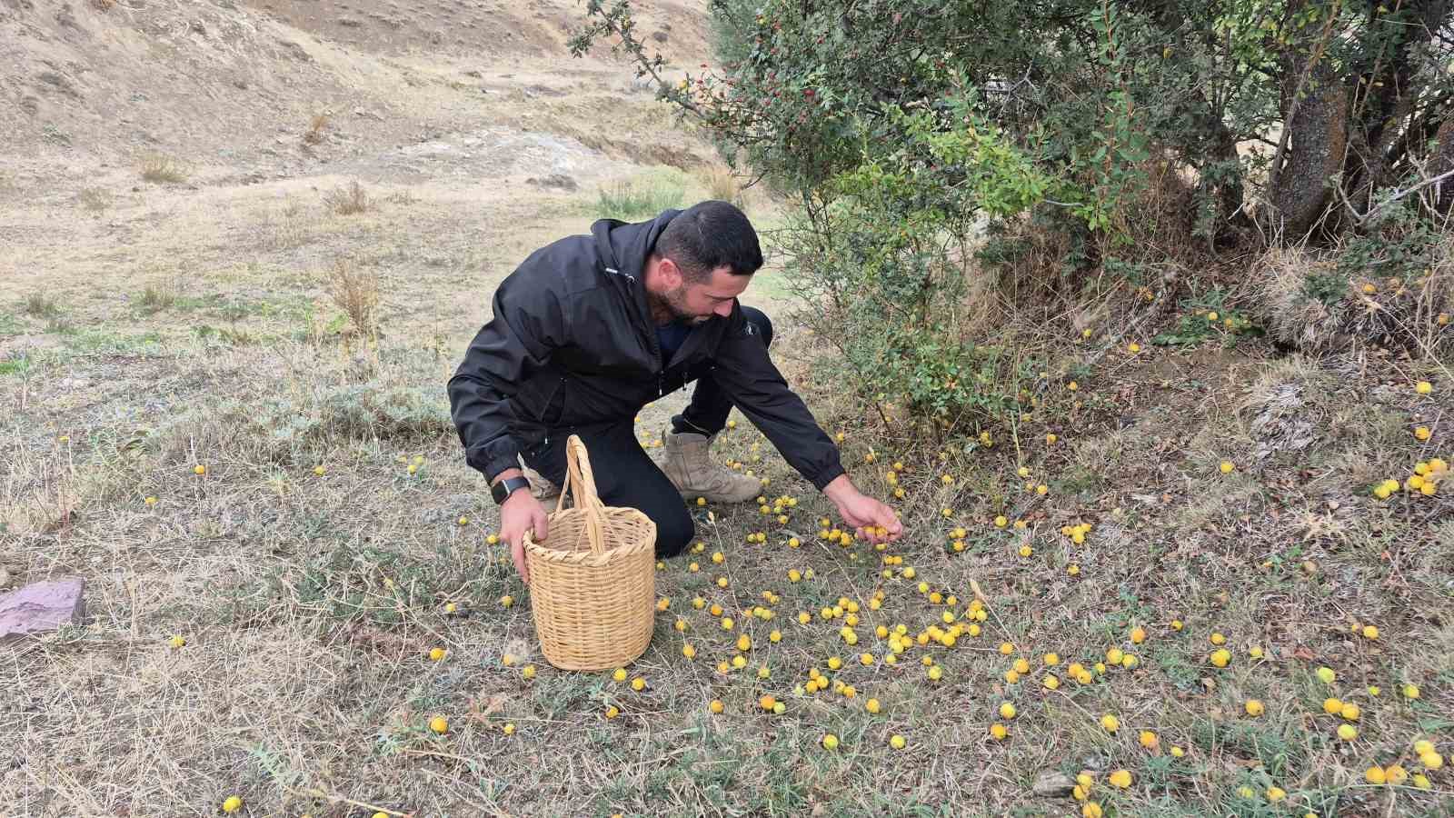 YUSUF DOĞANÇAY