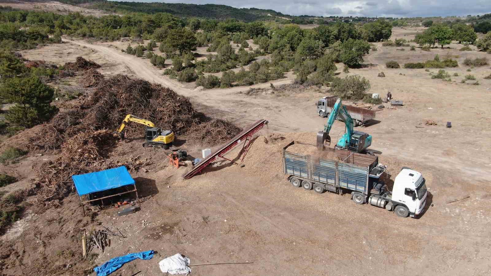 KASTAMONU’NUN ARAÇ İLÇESİNDE GEÇTİĞİMİZ YIL ÇIKAN VE 5 GÜN SÜREN ORMAN YANGININ ARDINDAN YANAN ORMANLIK SAHASINDA TEMİZLİK ÇALIŞMASI DEVAM EDİYOR. YANGINDA ZARAR GÖREN AĞAÇLAR KESİLİRKEN, KÖKLERİ İSE İŞ MAKİNELERİYLE ÇIKARTILARAK ENERJİYE DÖNÜŞTÜRÜLÜYOR.