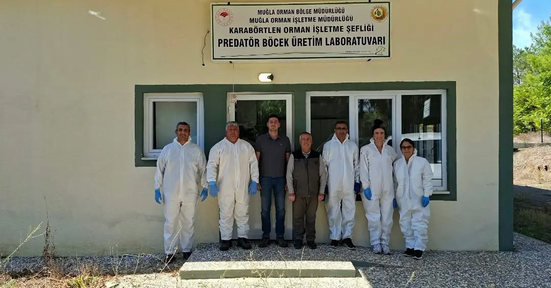 AYDIN’DA KESTANE ÜRETİMİNİN SÜRDÜRÜLEBİLİRLİĞİ İÇİN KESTANE GAL ARISINA KARŞI BİYOLOJİK MÜCADELE ÇALIŞMALARI SÜRDÜRÜLÜRKEN, 2027 YILI İÇİN TORYMUS SİNENSİS (AVCI BÖCEK) ÜRETİMİNİN ARTIRILMASI PLANLANIYOR.