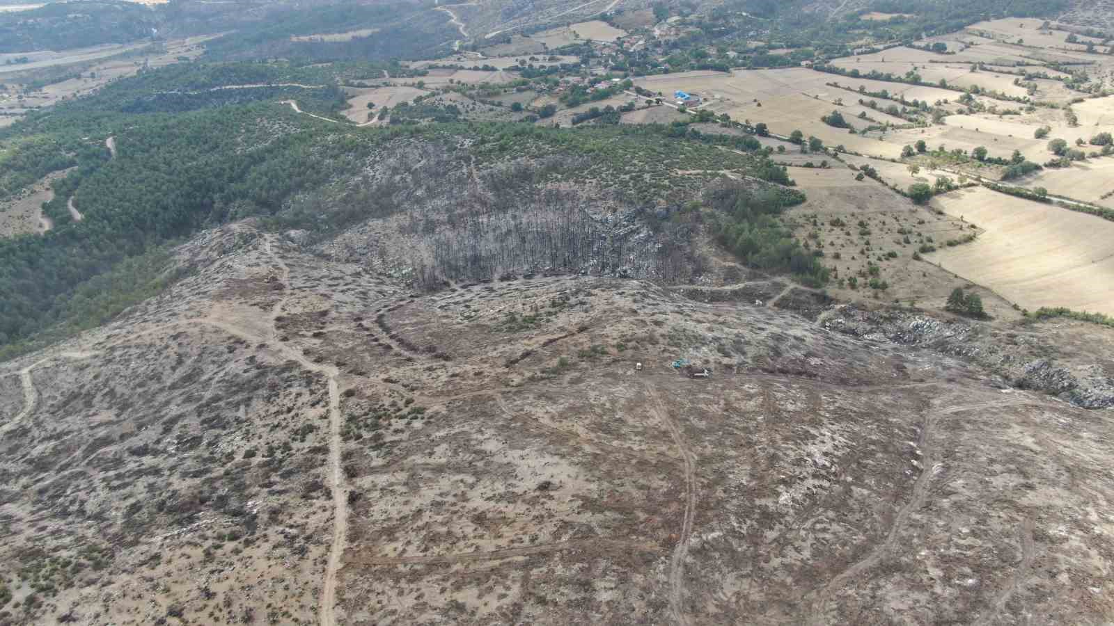 KASTAMONU’NUN ARAÇ İLÇESİNDE GEÇTİĞİMİZ YIL ÇIKAN VE 5 GÜN SÜREN ORMAN YANGININDA ZARAR GÖREN AĞAÇLARIN KESİMİ YAPILDIKTAN SONRA KÖKLERİ İSE, İŞ MAKİNELERİYLE SÖKÜLEREK ORMANLIK ALANDAN ÇIKARTILIYOR.