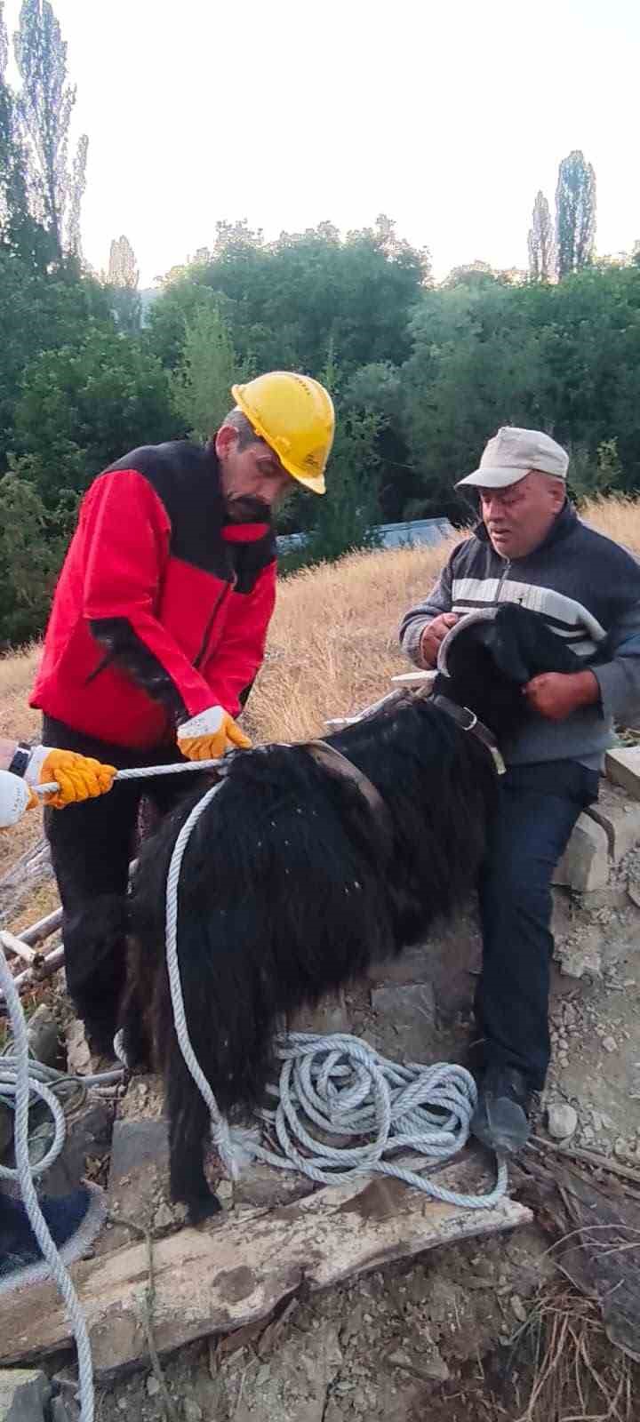 BOLU’NUN MUDURNU İLÇESİNDE ARAZİDEKİ DERİN BİR ÇUKURA DÜŞEREK MAHSUR KALAN KEÇİ, İTFAİYE EKİPLERİNİN BAŞARILI OPERASYONUYLA KURTARILARAK SAHİBİNE TESLİM EDİLDİ.