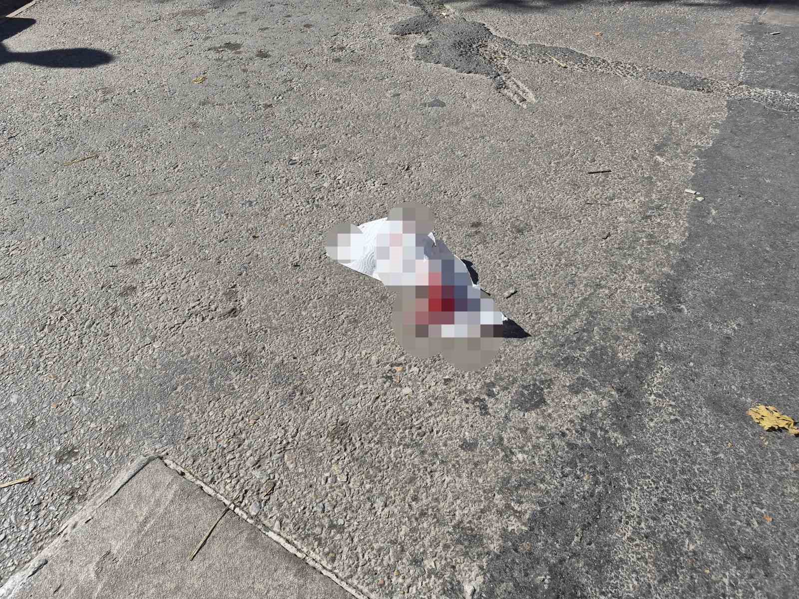 ESKİŞEHİR'DE BABA İLE OĞLU ARASINDA ÇIKAN BIÇAKLI KAVGADA 3 KİŞİ YARALANDI. KAVGADA BIÇAKLANAN BABA, "BENDEN HARAÇ İSTİYOR, VERMEYİNCE SALDIRDI" DEDİ.
