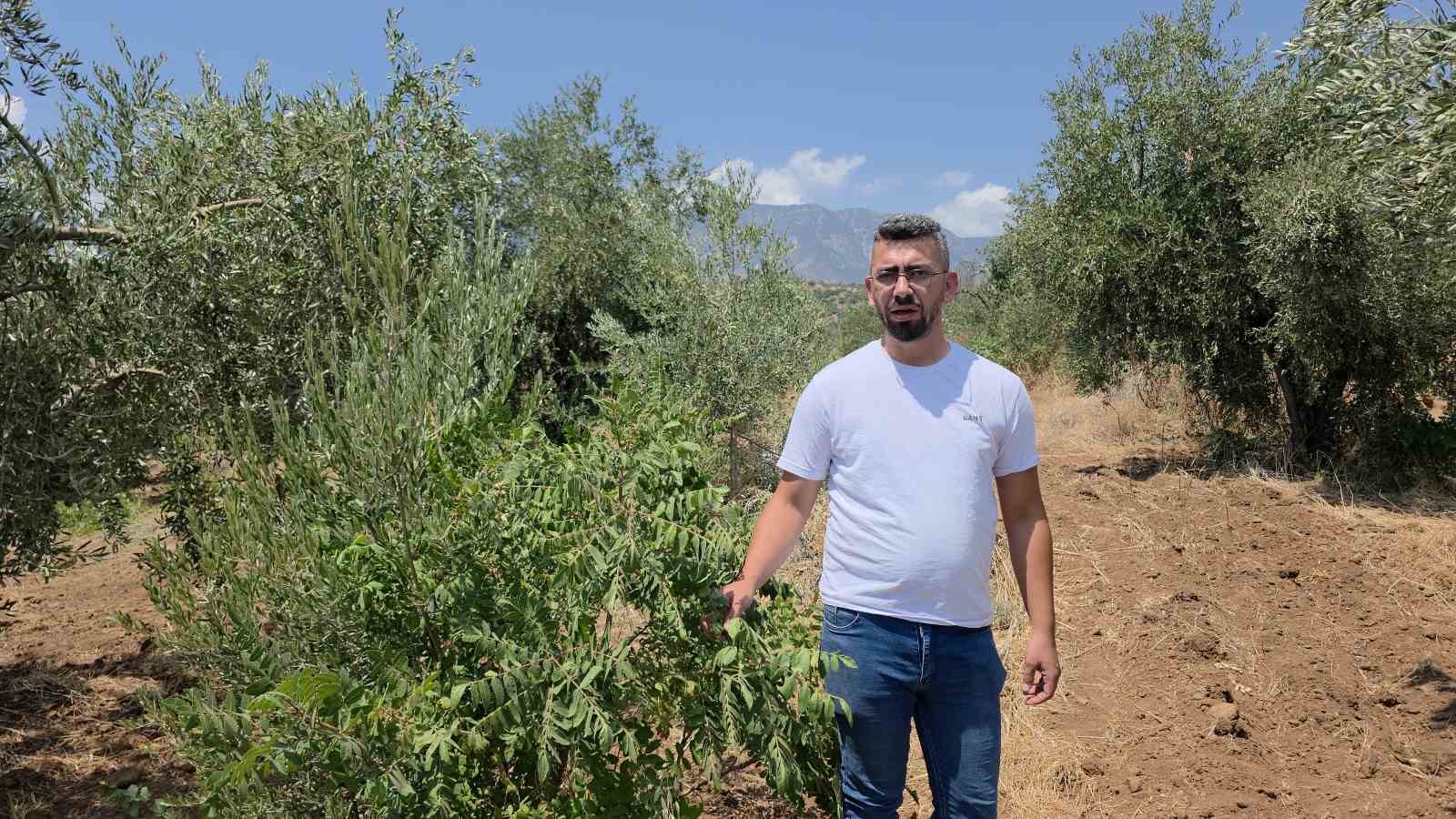 ABDULKADİR SARI