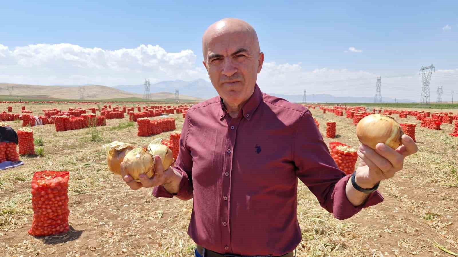 KARAMAN ZİRAAT ODASI YÖNETİM KURULU BAŞKANI MEHMET BAYRAM, BU YIL HER ÜRÜNDE OLDUĞU GİBİ SOĞANDA DA BEREKETLİ BİR YIL OLDUĞUNU SÖYLEDİ.