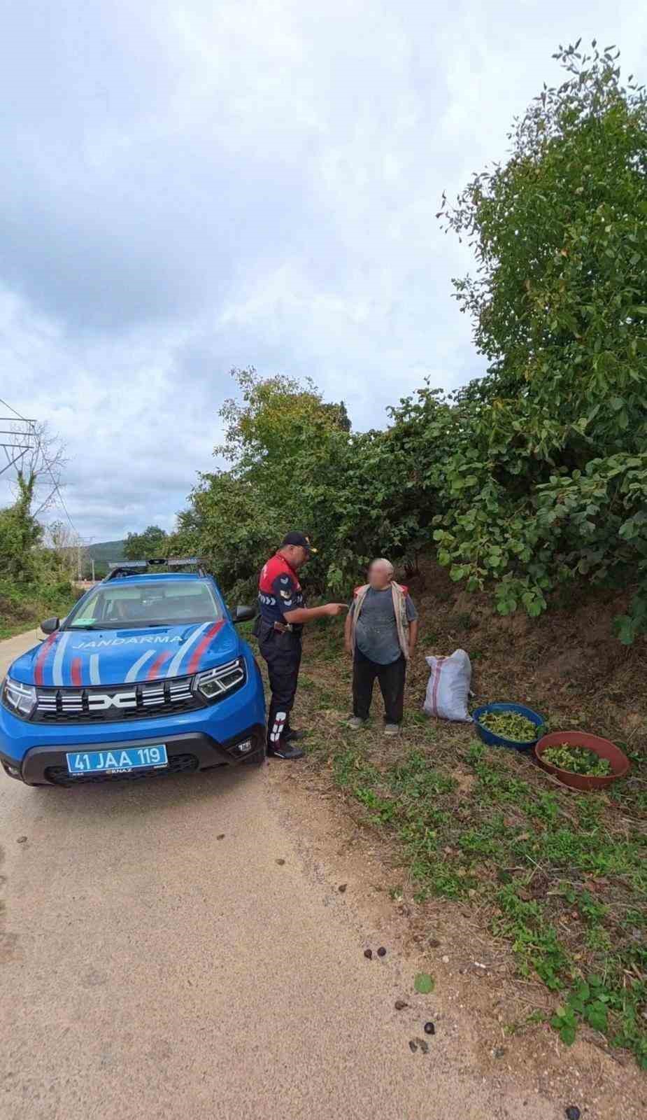 KOCAELİ İL JANDARMA KOMUTANLIĞI EKİPLERİ, FINDIK HASADI DÖNEMİNDE TARLALARDA YAŞANABİLECEK HIRSIZLIK OLAYLARININ ÖNÜNE GEÇMEK AMACIYLA KANDIRA’DA 7 GÜN 24 SAAT DENETİM GERÇEKLEŞTİRİYOR.