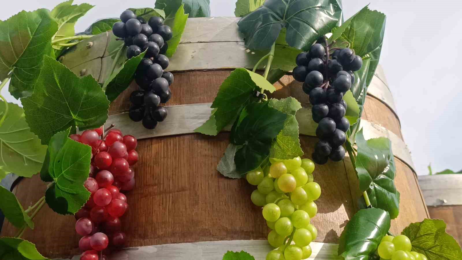 TEKİRDAĞ BÜYÜKŞEHİR BELEDİYESİ TARAFINDAN BU YIL İLK KEZ DÜZENLENEN 1. ULUSLARARASI GASTRONOMİ VE BAĞCILIK FESTİVALİ, KORTEJ YÜRÜYÜŞÜ, HALK OYUNLARI GÖSTERİLERİ VE ÇEŞİTLİ ETKİNLİKLERLE BAŞLADI. TÜRKİYE’NİN YANI SIRA FARKLI ÜLKELERDEN ŞEFLERİN DE KATILDIĞI FESTİVALDE, TEKİRDAĞ’IN YÖRESEL LEZZETLERİ, COĞRAFİ İŞARETLİ ÜRÜNLERİ VE BAĞCILIK KÜLTÜRÜ TANITILACAK.