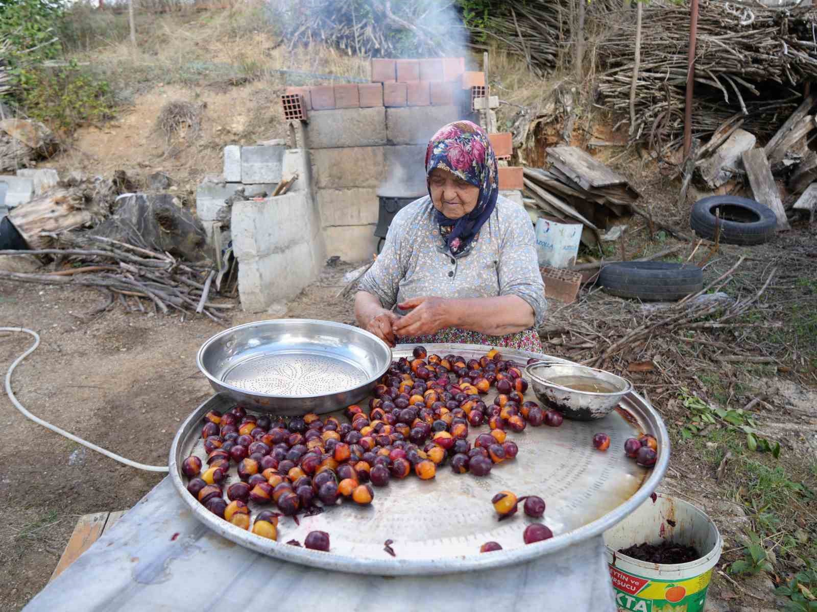 SADECE KASTAMONU'DA YETİŞEN OSMANLI MUTFAĞININ DA VAZGEÇİLMEZ MEYVELERİNDEN COĞRAFİ İŞARET BELGELİ ENDEMİK BİTKİ TÜRÜ OLARAK KABUL EDİLEN ÜRYANİ (ALA) ERİĞİNİN HASADINA BAŞLANDI.