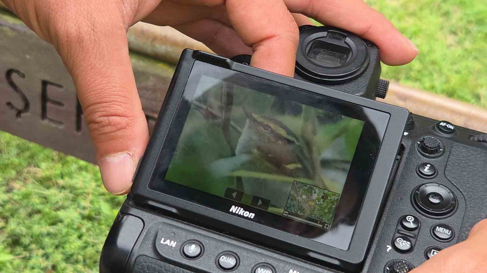 SAMSUN’DA KIZILIRMAK KUŞ CENNETİ’NDE DÜZENLENEN SONBAHAR DOĞA GÖZLEM KAMPI’NA KATILAN FOTOĞRAFÇILAR, TÜRKİYE’DE ÇOK NADİR GÖRÜLEN ‘ÇALIKUŞU ÇIVGINI’ VE ‘AKKAŞLI ÇİNTE’ KUŞ TÜRLERİNİ GÖÇ ETMEDEN ÖNCE GÖRÜNTÜLEYEREK KAYIT ALTINA ALDI.