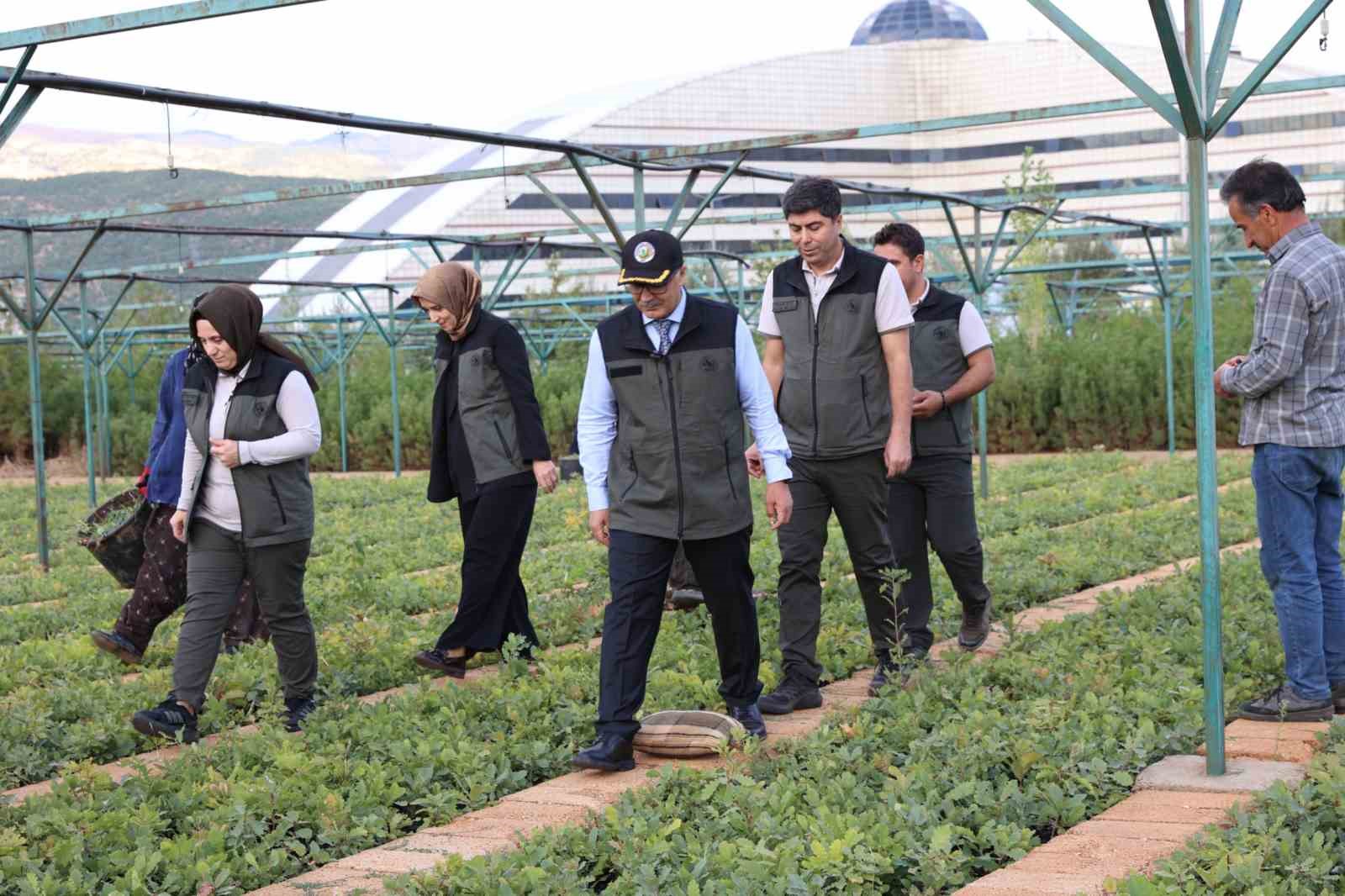BİNGÖL’DE 72 DÖNÜMLÜK FİDANLIKTA 18 FARKLI TÜRDE ÜRETİM YAPILIYOR