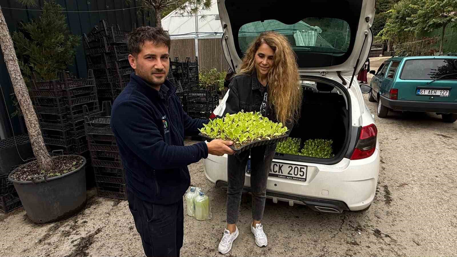 TRABZON'UN AKÇAABAT İLÇE BELEDİYESİ BİTKİ ÜRETİM TESİSİ’NDE BELEDİYE İMKÂNLARIYLA YETİŞTİRİLEN 65 BİN MARUL FİDESİ, SERA ÜRETİCİLERİNE TESLİM EDİLDİ.