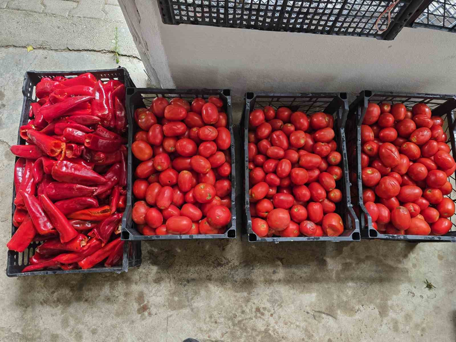 YOZGAT'IN SORGUN İLÇESİNDE YAŞAYAN ÜÇ ARKADAŞ DOĞAL, HİJYENİK VE EKONOMİK OLMASININ YANI SIRA EŞLERİNE DE YARDIMCI OLMAK İÇİN GELENEKSEL USULDE SALÇA KAYNATTI.