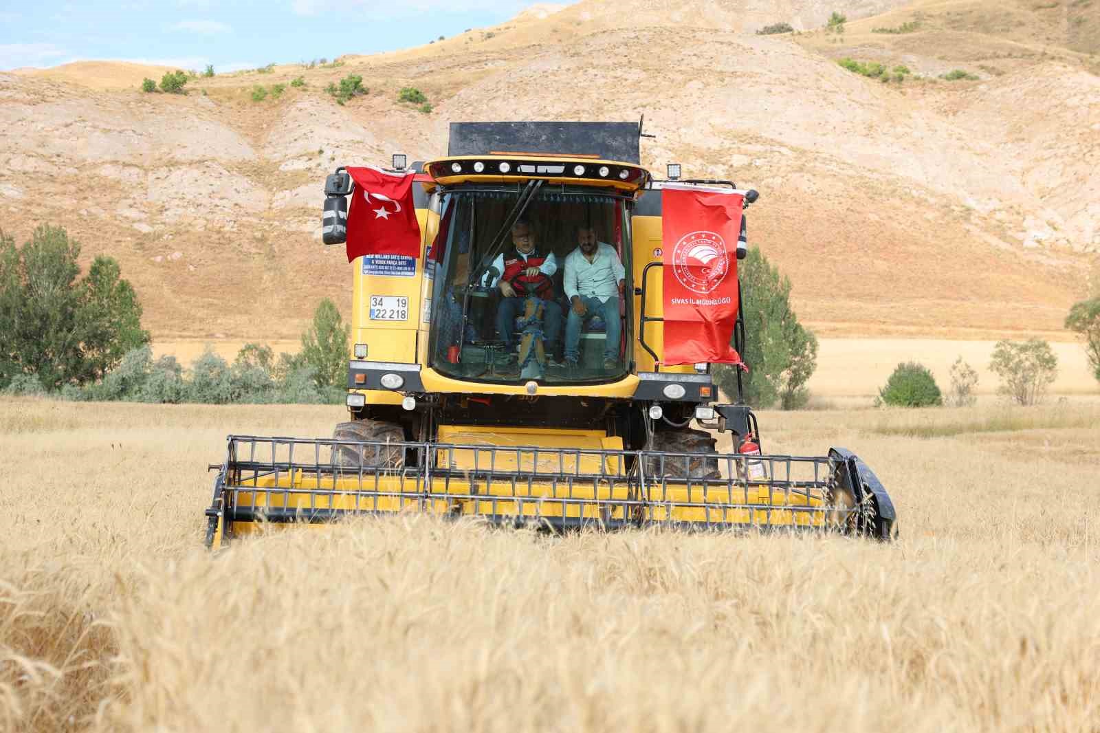 TÜRKİYE’NİN ÖNEMLİ HUBUBAT ÜRETİM MERKEZLERİNDEN SİVAS’TA ARPA VE BUĞDAY HASADI SÜRÜYOR.