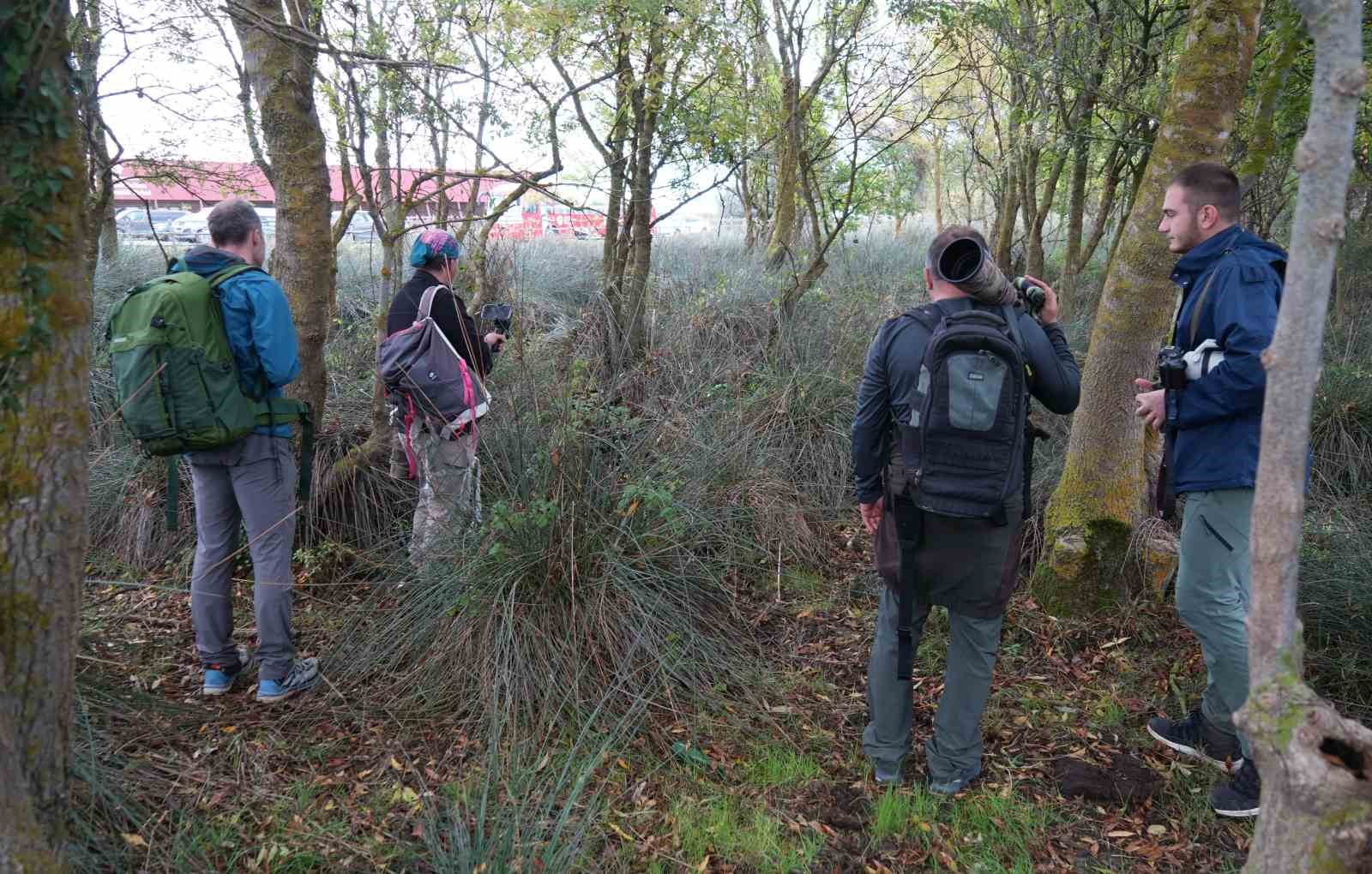 TÜRKİYE’NİN EN ÖNEMLİ VE TANINMIŞ KUŞ FOTOĞRAFÇILARI, SAMSUN’DA DÜZENLENEN SONBAHAR DOĞA GÖZLEM KAMPI’NDA KIZILIRMAK DELTASI’NIN GÜZELLİKLERİNİ KAYIT ALTINA ALIYOR.