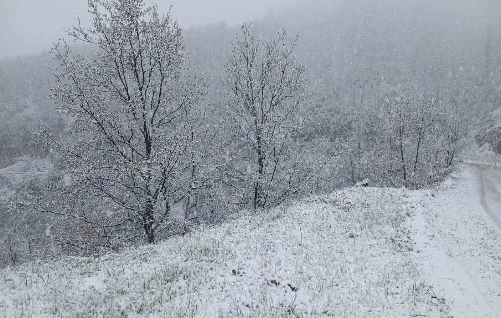 MANİSA’NIN ALAŞEHİR İLÇESİNDE MEVSİMİN İLK KARI YAĞDI. HORZUM ALAKAYA MAHALLESİ’NİN YAYLALAR MEVKİİNDE SAAT 16.00 SIRALARINDA BAŞLAYAN KAR YAĞIŞI, YÜKSEK KESİMLERİ BEYAZA BÜRÜDÜ.