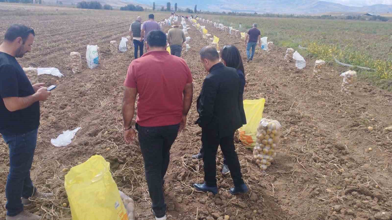 TERCAN’DA PATATES HASADI BAŞLADI