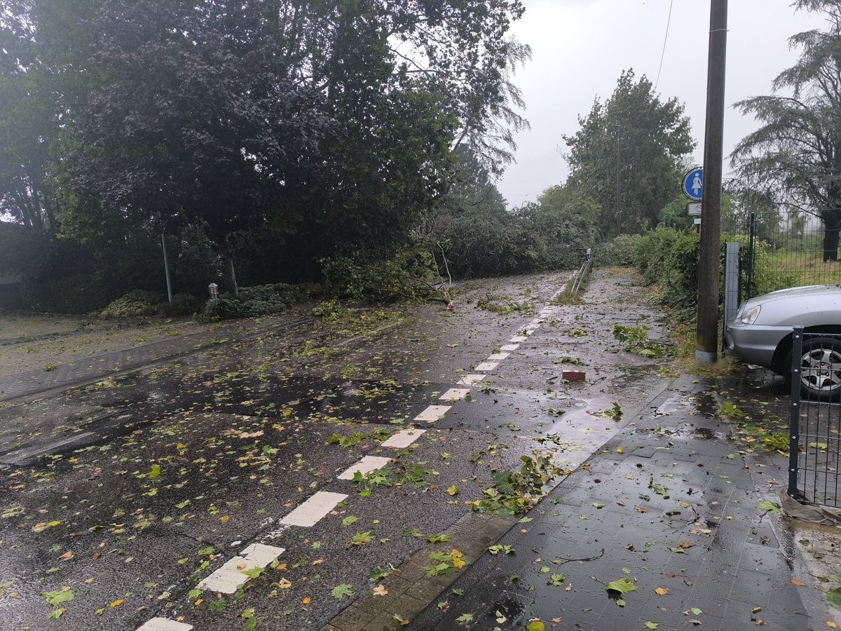 ALMANYA'NIN BAZI BÖLGELERİNDE GECE BOYU ETKİLİ OLAN ŞİDDETLİ FIRTINA BÜYÜK HASARA YOL AÇARKEN, 1 KADIN HAYATINI KAYBETTİ VE EN AZ 2 KİŞİ DE YARALANDI.