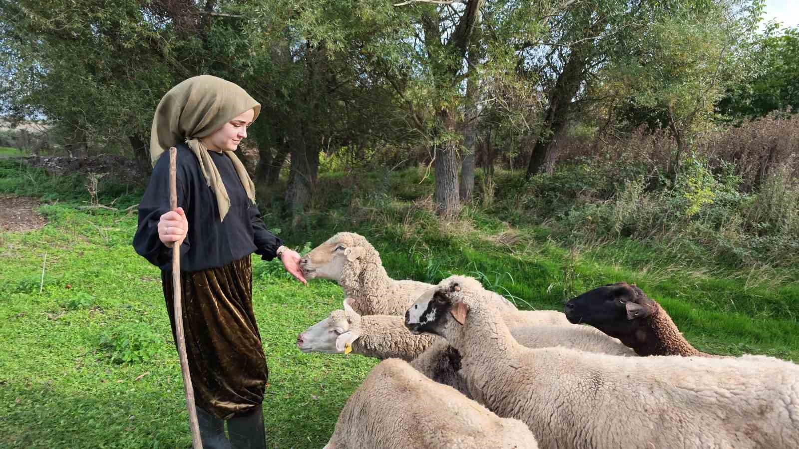 BALIKESİRLİ KADIN GİRİŞİMCİ SUEDA DEMİRCİ, TARIM VE ORMAN BAKANLIĞI´NIN 2022 YILINDA HAYATA GEÇİRDİĞİ KIRSAL KALKINMADA UZMAN ELLER PROJESİ KAPSAMINDA ALDIĞI 100 BİN LİRALIK HİBE DESTEĞİYLE KOYUN YETİŞTİRİCİLİĞİNE BAŞLAYARAK HAYALLERİNE KAVUŞTU.