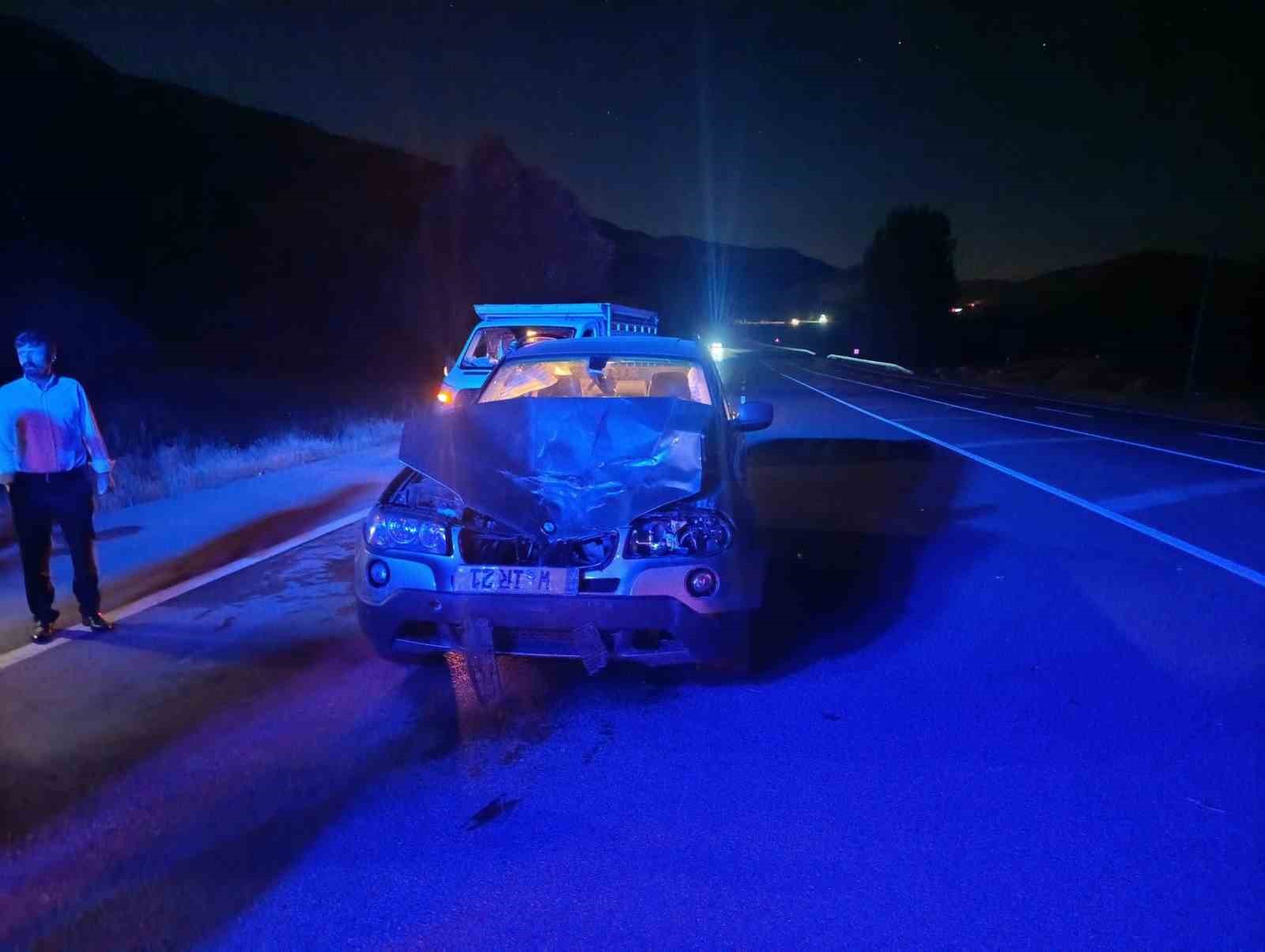 BİNGÖL’DE ARAÇ ATA ÇARPTI: 1 YARALI