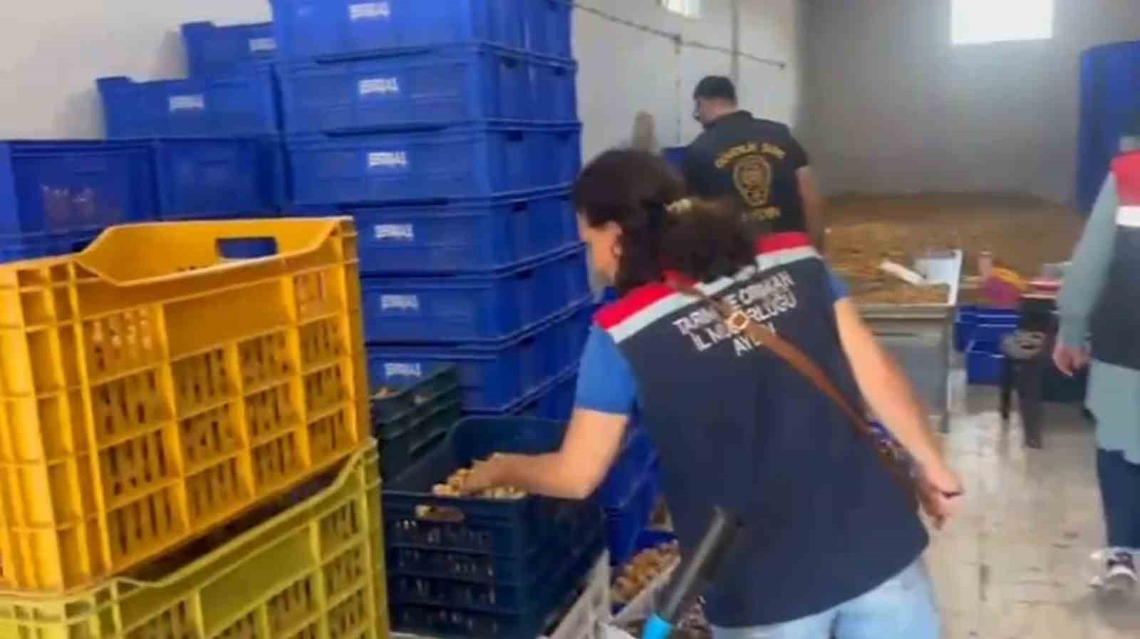 AYDIN’IN KÖŞK İLÇESİNDE GIDA GÜVENLİĞİNE YÖNELİK DÜZENLENEN OPERASYONDA, PİYASA DEĞERİ YAKLAŞIK 20 MİLYON TL OLAN 25 TON ETİKETSİZ KURU İNCİR ELE GEÇİRİLDİ.