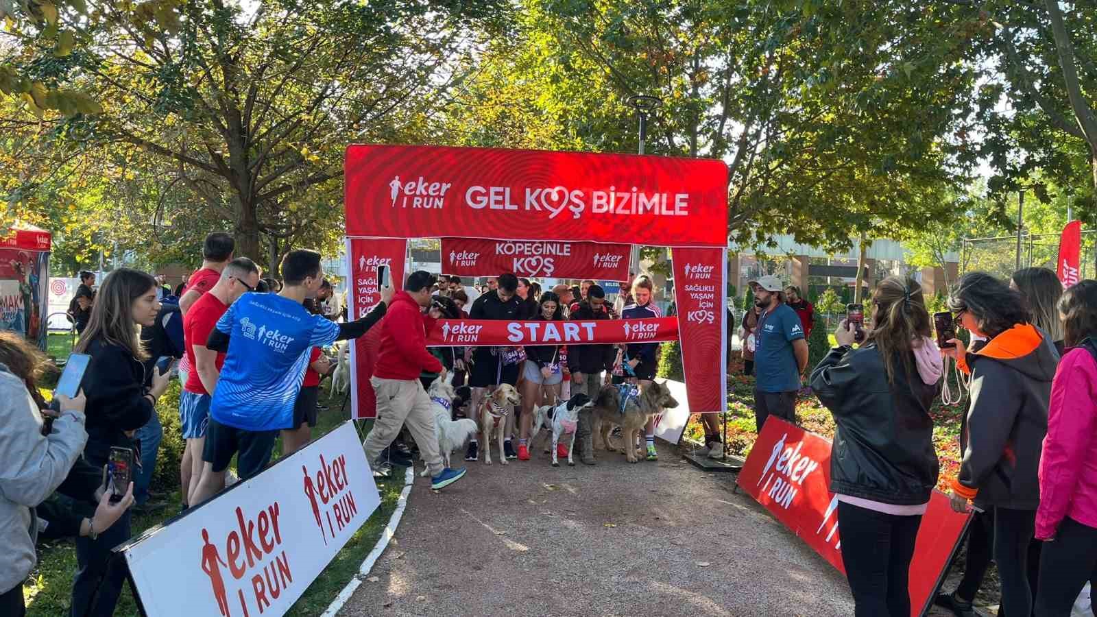 BURSA'DA BU YIL 13'ÜNCÜSÜ DÜZENLENEN EKER I RUN KAPSAMINDA İLK KEZ GERÇEKLEŞTİRİLEN "KÖPEĞİNLE KOŞ" ETKİNLİĞİ, YÜZLERCE HAYVANSEVER İLE PATİLİ DOSTLARINI AYNI PARKURDA BULUŞTURDU.