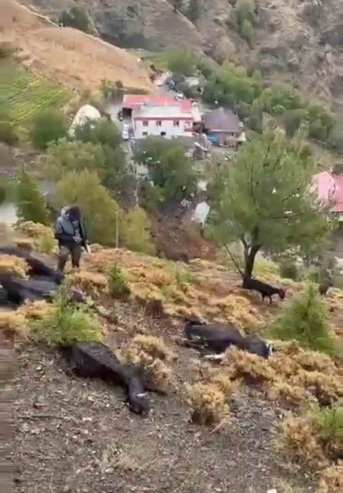 KAHRAMANMARAŞ’TA ETKİLİ OLAN ŞİDDETLİ YAĞIŞ SIRASINDA YILDIRIM DÜŞMESİ SONUCU 20 KEÇİ TELEF OLDU