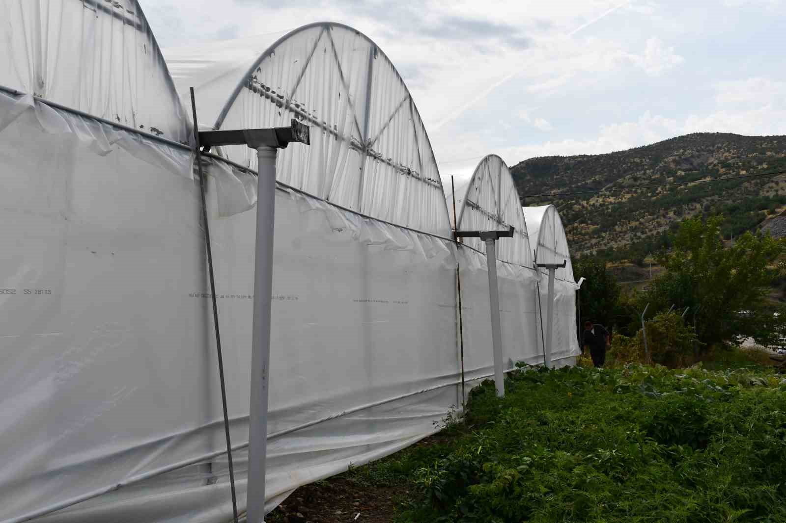 ŞIRNAK'IN ULUDERE İLÇESİNE BAĞLI ŞENOBA BELDESİNDE AİLELERİN DEVLETTEN ALDIKLARI YÜZDE 50 İLE KURDUKLARI SERALAR GELİR KAYNAKLARI OLDU.