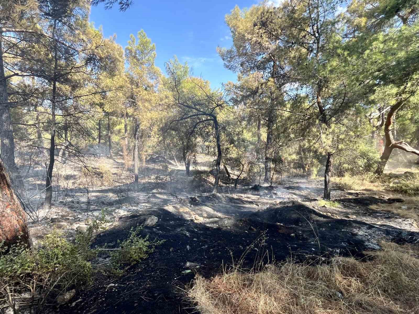 ANTALYA'NIN KEPEZ İLÇESİNDE ÇIKAN ORMAN YANGINI, HAVADAN VE KARADAN MÜDAHALEYLE KONTROL ALTINA ALINDI. EKİPLERİN BÖLGEDE SOĞUTMA ÇALIŞMASI SÜRÜYOR.
