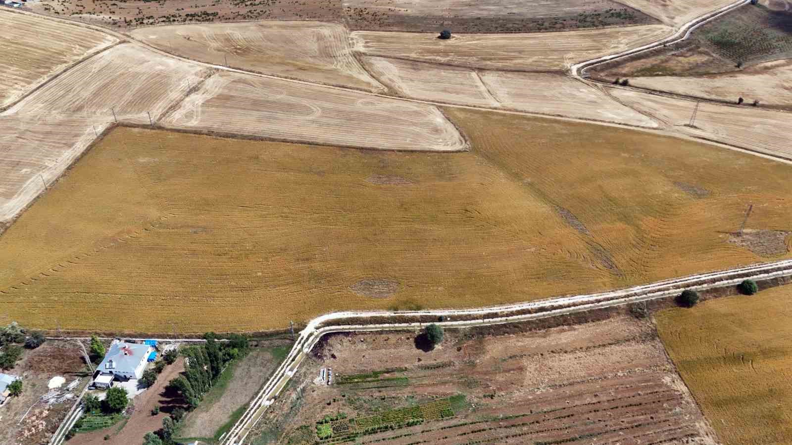 100 DÖNÜM ALANDA BAŞLADIĞI ASPİR ÜRETİMİNİ 260 DÖNÜME ÇIKARAN KOLUKISA, İLÇESİNDE DE TARIMI GELİŞTİREREK, ÖZELLİKLE İŞ NEDENİYLE İLÇEDEN AYRILAN GENÇLERİN ÖNÜNÜ AÇMAK İSTİYOR.