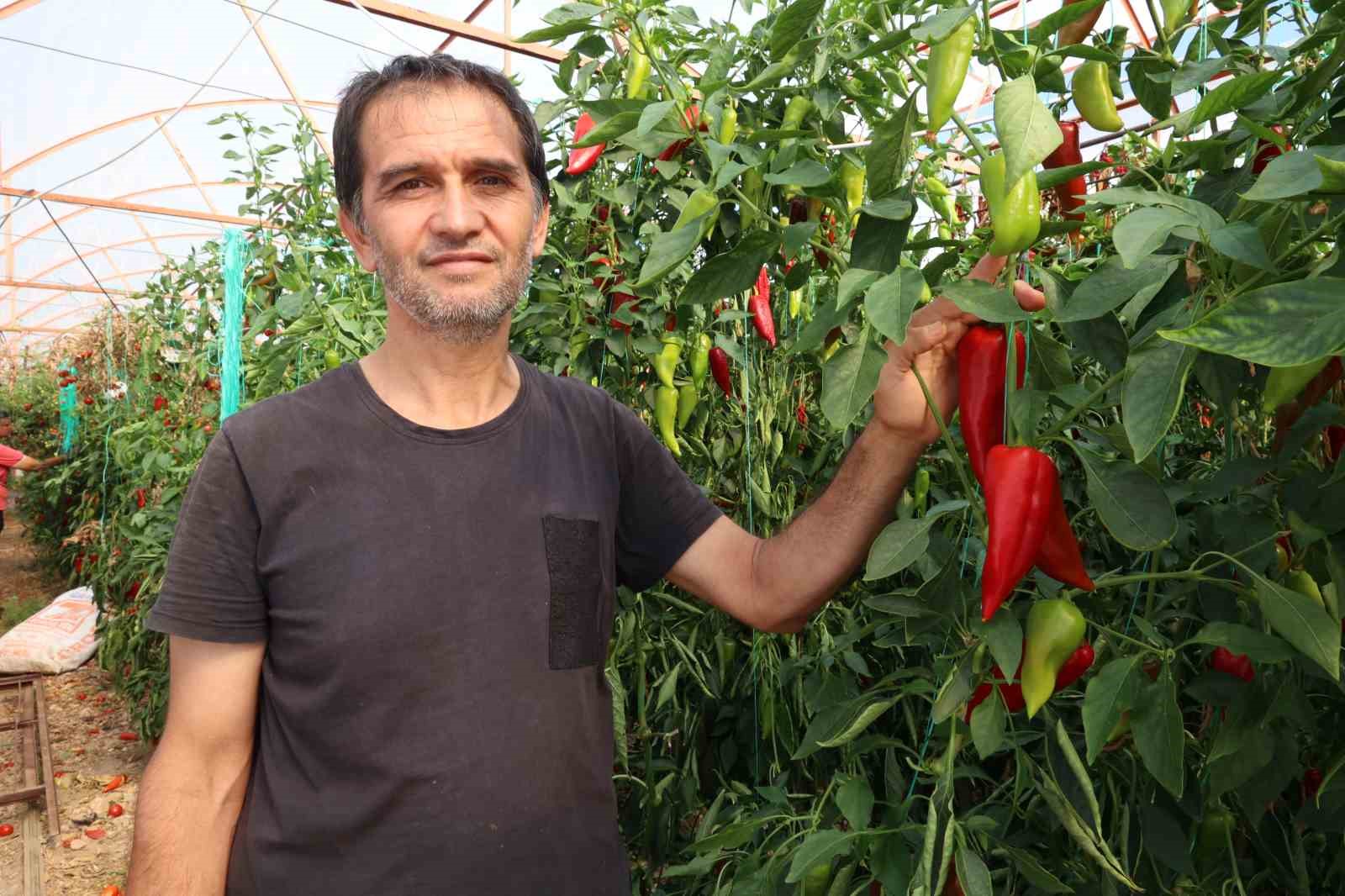 SULAMA İMKÂNLARININ ARTTIRILMASI İLE ÜRETİCİLERİN EKONOMİK DEĞERİ DAHA YÜKSEK ÜRÜNLERİ YETİŞTİRMESİNE DE DURUM SAĞLANDI.