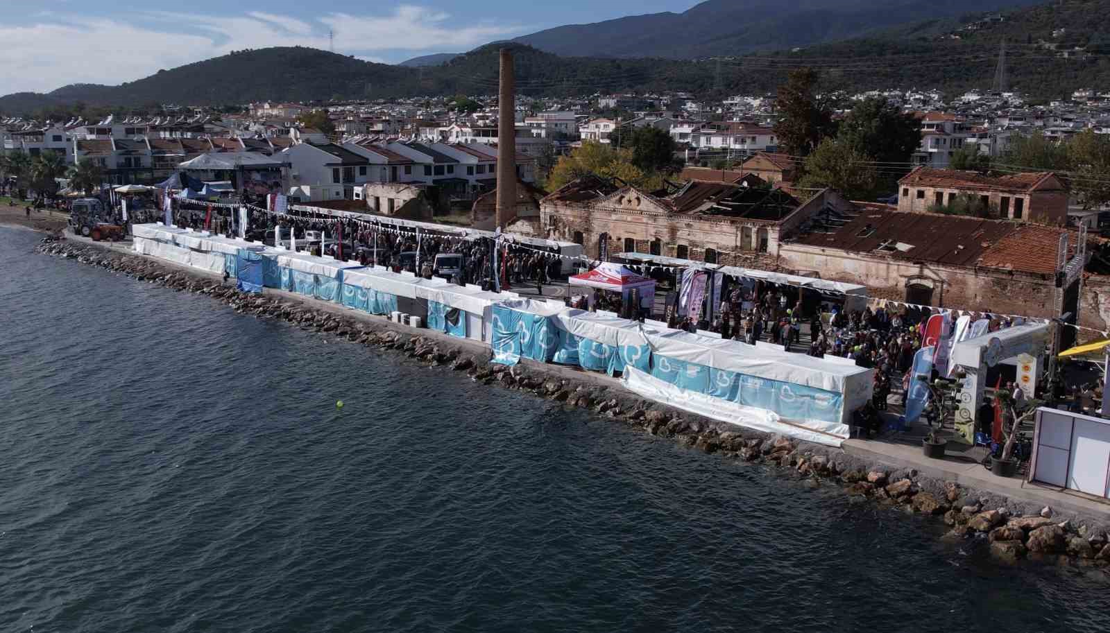 FESTOLİVE EDREMİT ZEYTİNYAĞI TADIM FESTİVALİ (ARŞİV)