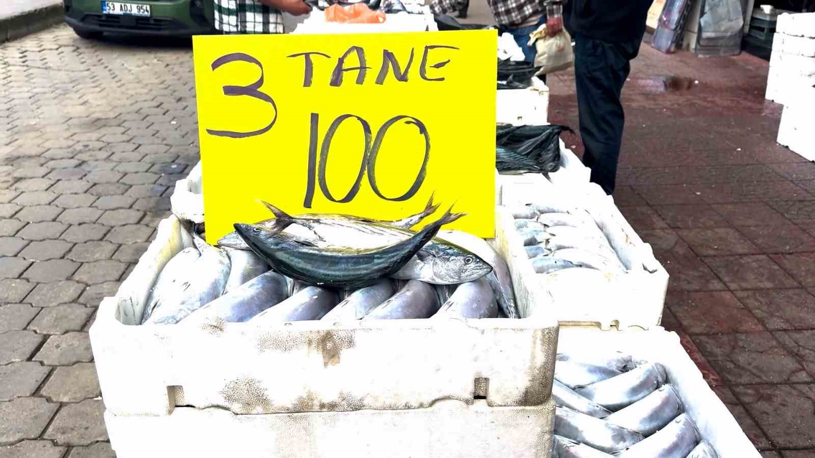 DOĞU KARADENİZ'DE 2005 YILINDAN BU YANA GÖRÜLEN EN YOĞUN PALAMUT AKINI YAŞANIRKEN, AĞLARIN DOLMASI TEZGAHLARDAKİ FİYATLARA İNDİRİM OLARAK YANSIDI