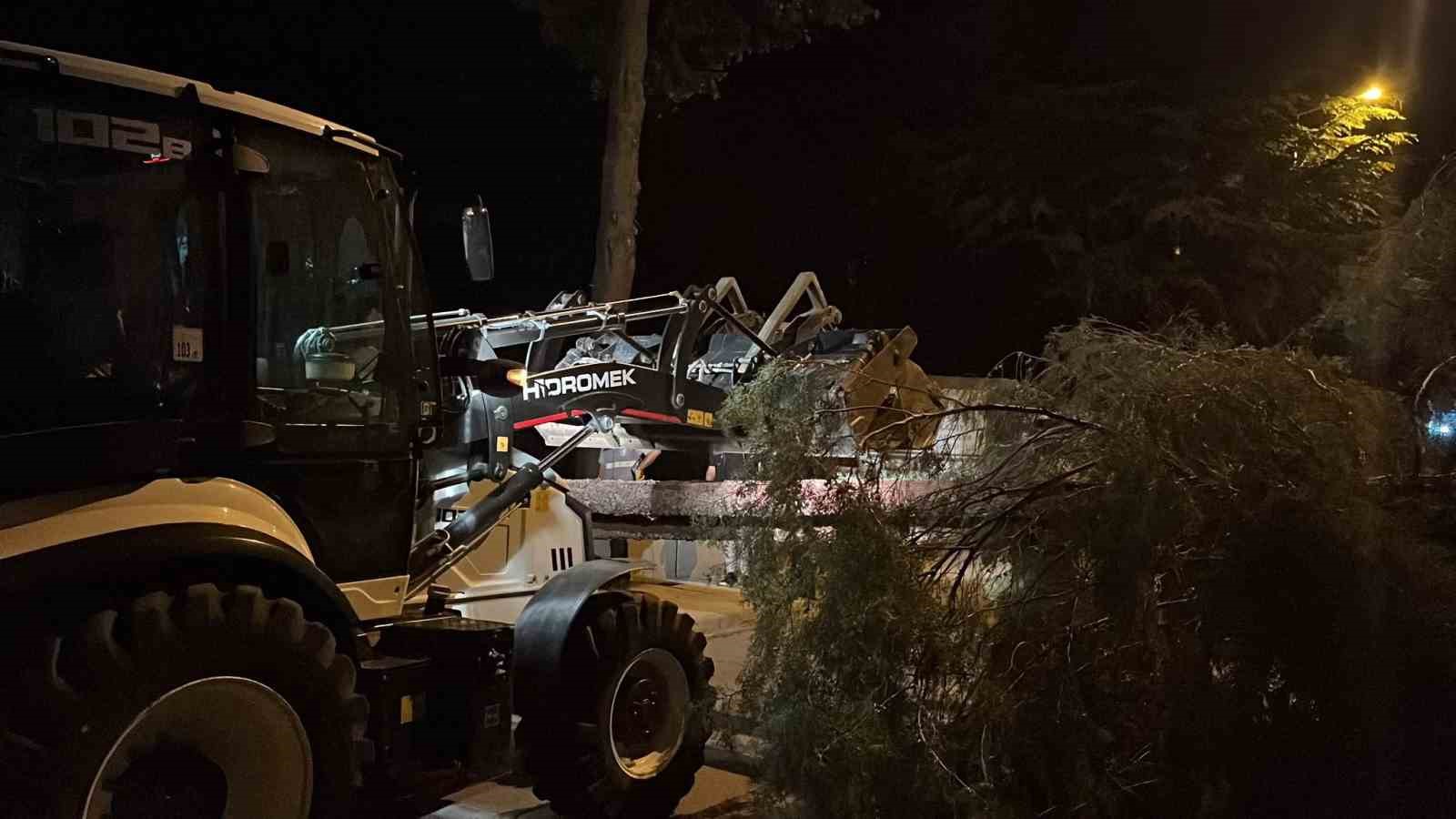 ÇORUM'DA RÜZGARIN ŞİDDETİNE DAYANAMAYAN AĞAÇ YOLA DEVRİLDİ. OLAYDA ŞANS ESERİ YARALANAN OLMAZKEN, PARK HALİNDEKİ BİR ARAÇ HASAR GÖRDÜ.