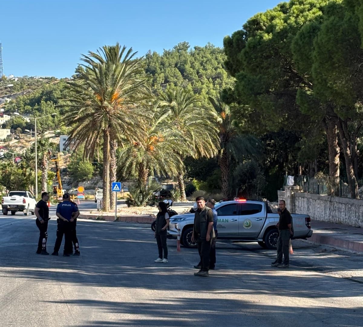 MERSİN’DE ORMAN SUÇLARININ ÖNLENMESİ VE ORMANLARIN KORUNMASI AMACIYLA FARKLI NOKTALARDA YOL KONTROLÜ GERÇEKLEŞTİRİLDİ.