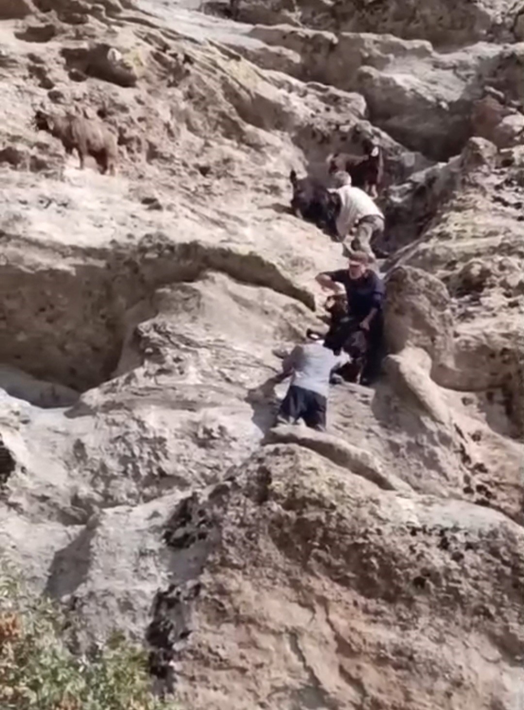 TUNCELİ&rsquo;DE 70 METRE Y&Uuml;KSEKLİKTE MAHSUR KALAN LE&Ccedil;İLER KURTARILDI