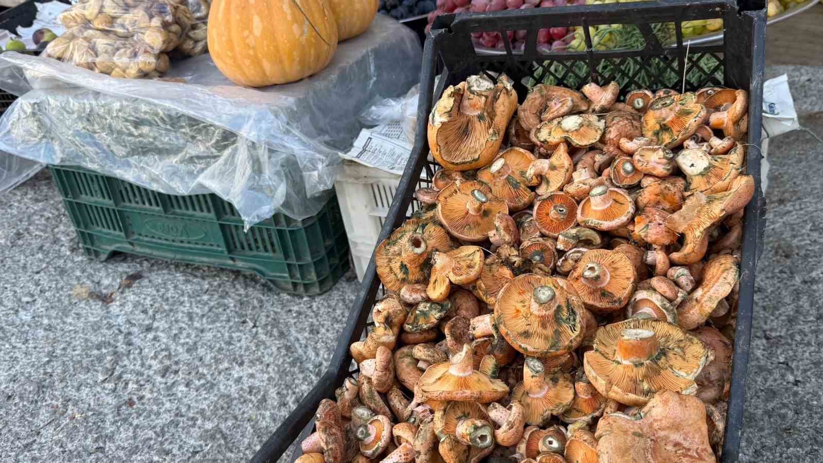 MUĞLA’NIN MENTEŞE İLÇESİNDE YAĞIŞLARIN ARDINDAN SEZONUN İLK ÇINTARLARI ORMANLIK ALANLARDA ÇIKMAYA BAŞLADI. PAZARLARDA SATIŞA SUNULAN İLK ÇINTARLARIN KİLOGRAM FİYATI 500 LİRAYA KADAR YÜKSELDİ.