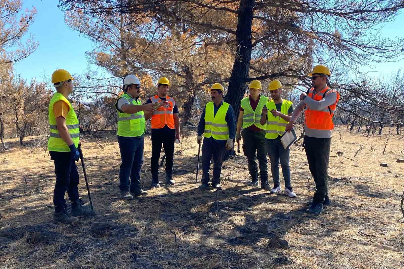 BALIKESİR ORMAN BÖLGE MÜDÜRLÜĞÜ, GÖMEÇ İLÇESİNDE MEYDANA GELEN YANGINDAN ETKİLENEN ORMANLIK ALANLARDA SAHA TESPİT VE TEMİZLİK ÇALIŞMALARINA BAŞLADI. ÇALIŞMALARIN ARDINDAN BÖLGENİN YENİDEN AĞAÇLANDIRILMASI HEDEFLENİYOR.