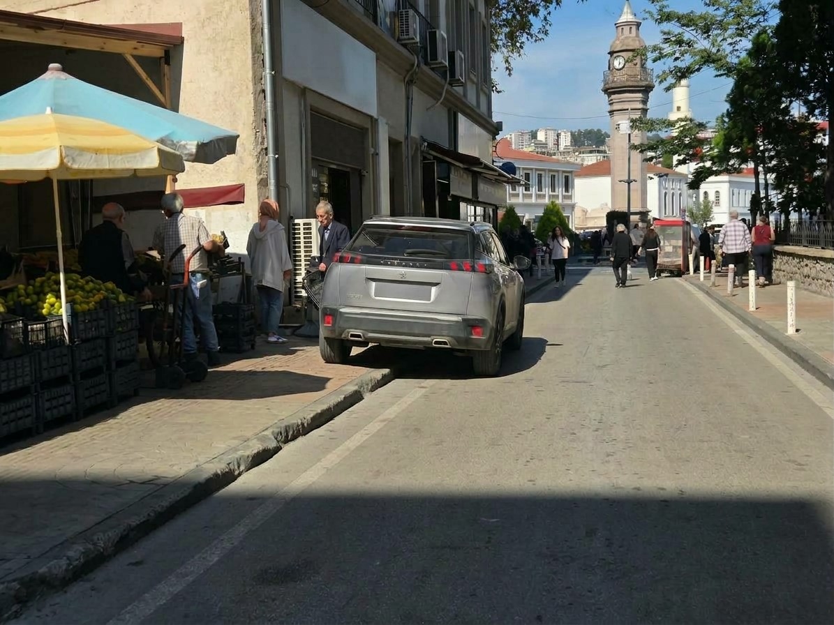 KARADENİZ DOĞAL HAYATI KORUMA DERNEĞİ, SAMSUN ŞEHİR MERKEZİNDE KALDIRIMLARIN YAYALARIN KULLANIMINA AÇIK TUTULMASI ÇAĞRISINDA BULUNARAK, İŞ YERLERİNİN KALDIRIMLARI KULLANMASININ YAYA ULAŞIMINI ZORLAŞTIRDIĞINA DİKKAT ÇEKTİ.